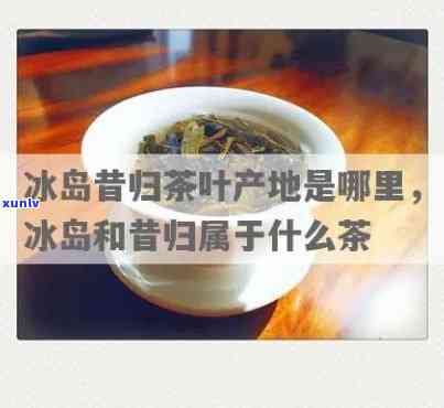 昔归冰岛是什么茶，探秘全球珍稀茶叶：昔日归冰岛茶，你了解多少？