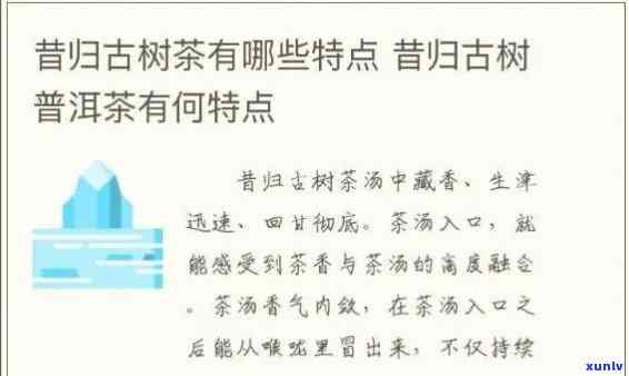 比较昔归古树与大树：口感差异解析