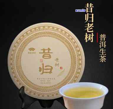 昔归大树纯料怎么样-昔归大树茶叶价格