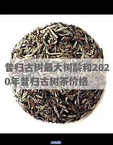 昔归古树春茶多少钱-今年昔归古树茶春茶平均价格