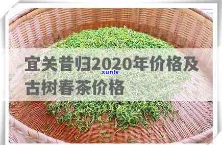 昔归古树春茶多少钱-今年昔归古树茶春茶平均价格