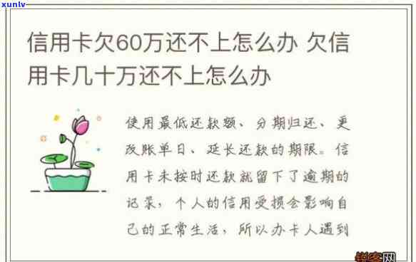 欠了60万还不了了？解决方案在此！