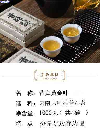 昔归黄金叶茶砖价格，探寻昔日黄金叶的秘密：昔归黄金叶茶砖价格解析