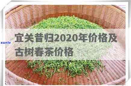 2020昔归古树价格，2020年昔归古树茶价格一览