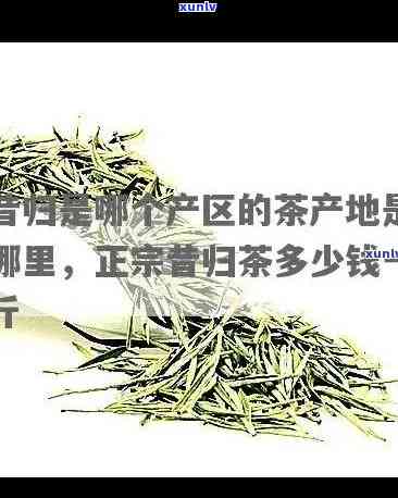 青岛崂茗茶叶怎么样-青岛崂茗茶叶怎么样好喝吗