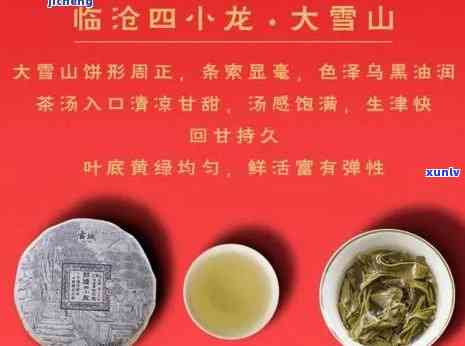 云南临沧昔归茶：特征与 *** 信息全解析