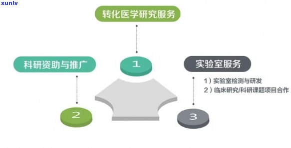 广东化学化工学院，探索未来：广东化学化工学院的科研进展与展望