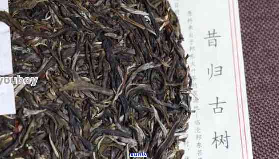 昔归古树普洱生茶2019年价格及特点介绍，附带熟茶价格解析