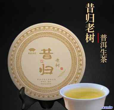 昔归古树茶的特点、香气与一级价格全解析