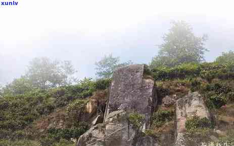 昔归位于云南省临沧市临翔区邦东乡昔归村忙麓正山，《探寻云南特色——临沧市临翔区昔归忙麓正山》