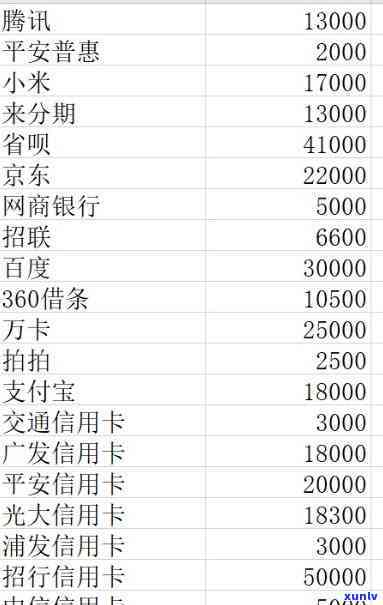 欠信用卡和网贷60多万怎么办，深陷信用卡与网贷泥潭，60万债务怎样解决？