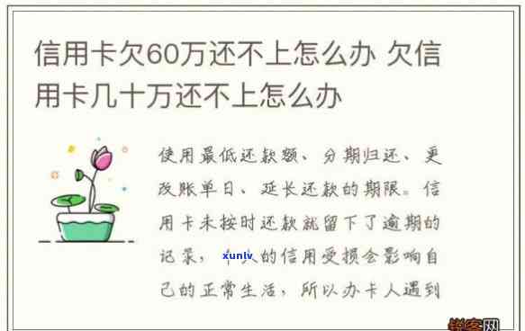 欠信用卡和网贷60多万-欠信用卡和网贷60多万怎么办