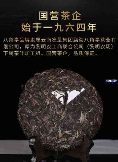 金属绕丝翡翠手镯：鉴别鉴赏与市场价值分析