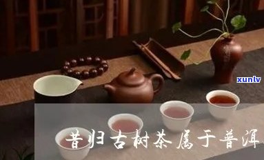 用一首诗形容昔归茶的诗句，昔日归鸿，今朝茶香：一首诗描绘昔归茶的美妙口感