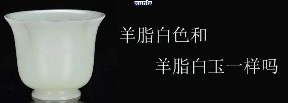 好的羊脂白玉是白的还是透的，解谜羊脂白玉：它是白的还是透的？