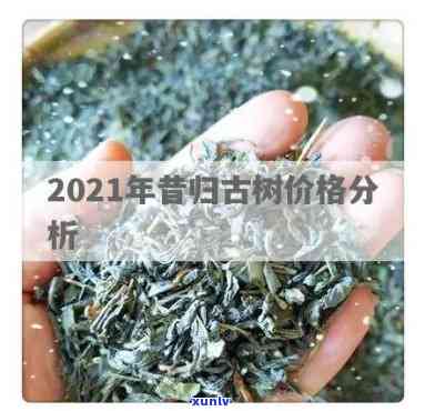 2021年昔归古树价格，2021年昔归古树茶市场价格走势分析