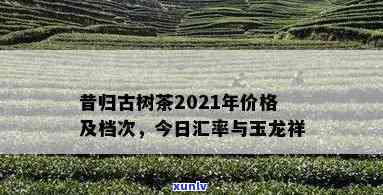 2021年昔归古树价格，2021年昔归古树茶市场价格走势分析