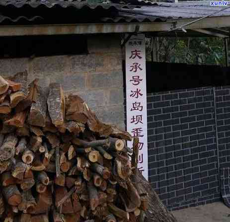 冰岛五寨：揭秘茶中瑰宝的排名与产地