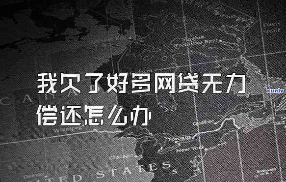 怎样解决网贷欠款20万无力偿还的疑问？