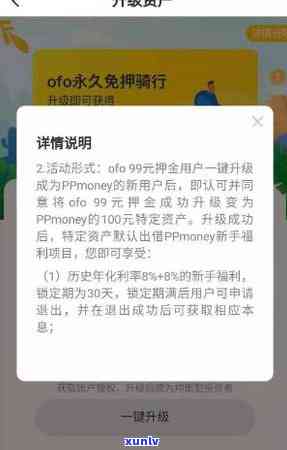 网贷欠款20万怎样自救？教你有效还款方案与技巧