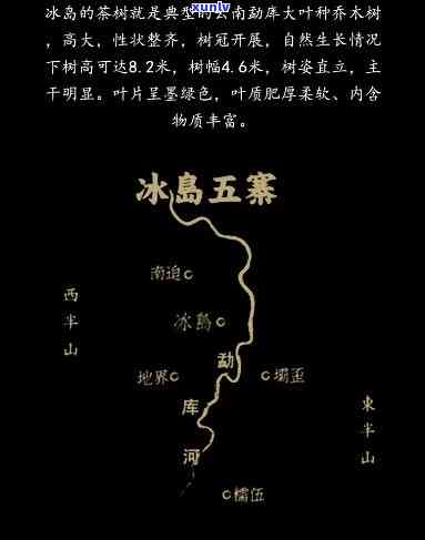 冰岛老寨与五寨：口感对比评测