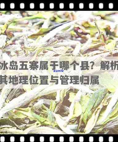 普洱茶产量与品质因素探讨：从一棵树到数斤茶叶的全过程解析