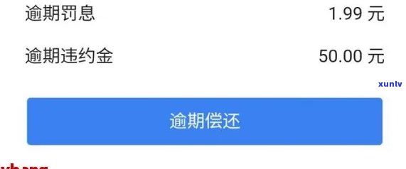 网商贷逾期几十万暂时没钱还怎么解决，网商贷逾期数十万，短期无法还款，怎样解决疑问？