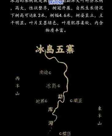 全面解析：冰岛五寨的区别及其口感特点