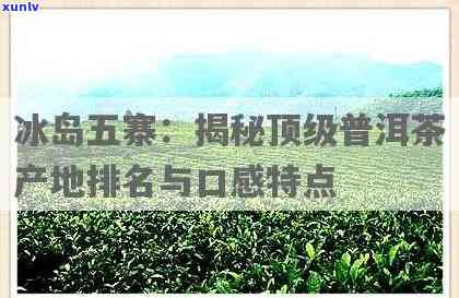 冰岛五寨哪个寨的茶？口感排名全解析！