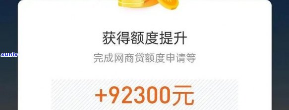 网商贷更高100万额度是多少？