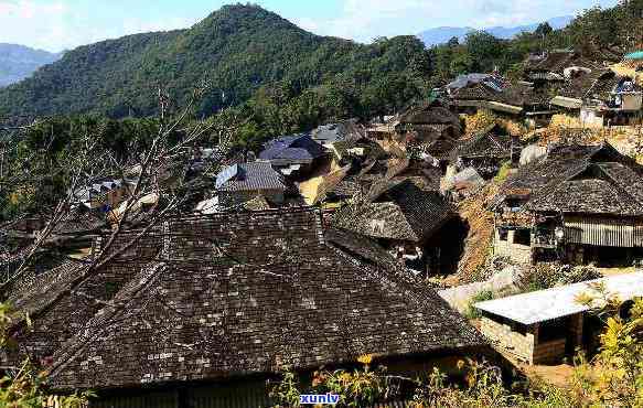 临沧冰岛村有几个寨子，揭秘云南临沧冰岛村：探索其中的多个寨子