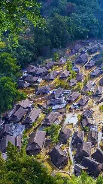 临沧冰岛村有几个寨子，揭秘云南临沧冰岛村：探索其中的多个寨子