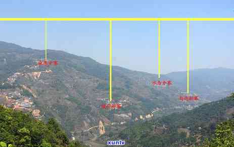 冰岛五寨茶叶的区别和特点，探秘冰岛五寨茶叶：区别与特点解析