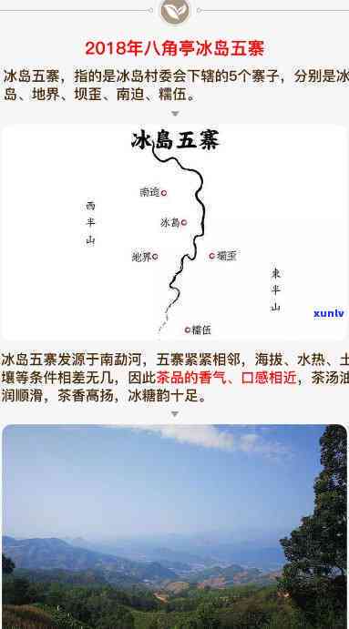 冰岛五寨茶叶：特点与价格全解析