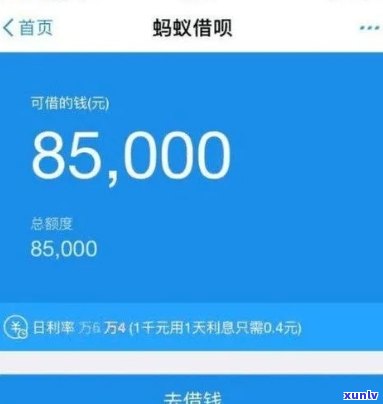 网商贷逾期6个月5万怎么办，急需解决：网商贷逾期6个月，欠款5万应怎样解决？