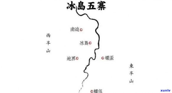 冰岛五寨茶青的价格-冰岛五寨茶叶