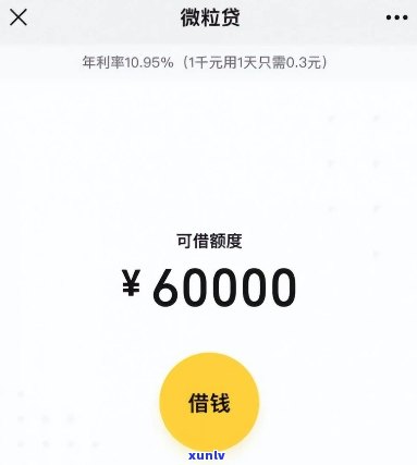 微粒贷欠款11万，作用微信采用吗？