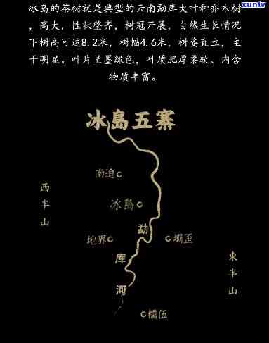 冰岛五寨是哪五寨？详解及地图全览，揭秘普洱茶冰岛五寨