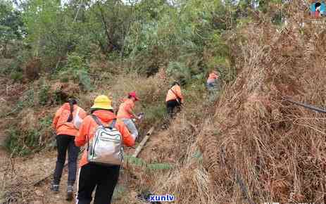 冰岛五寨哪里的玩，寻找旅游胜地：冰岛五寨哪里最值得一游？