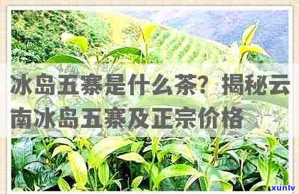 冰岛五寨竹筒茶价格查询，冰岛五寨竹筒茶价格大揭秘！一文告诉你最新市场行情