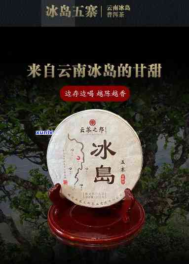 冰岛五寨的茶，哪个厂的正宗？比较各大的口感与品质