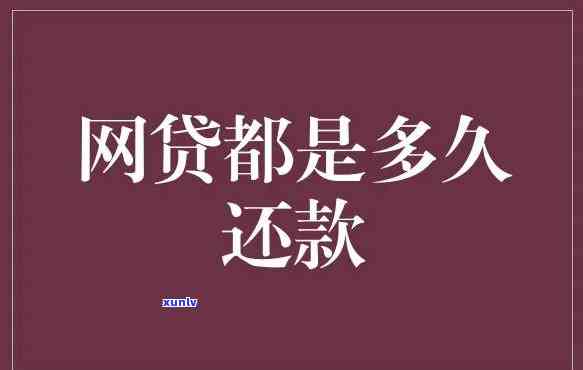 一个女人欠网贷20多万-一个女人欠网贷20多万怎么办