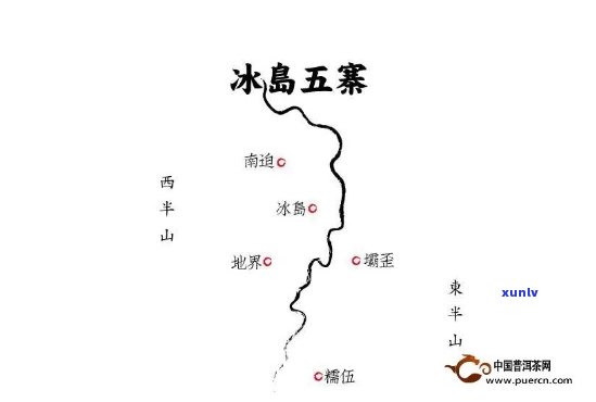 深入了解冰岛五寨茶：区别、特点与评价