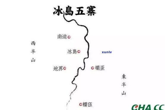 冰岛五寨的茶：哪家厂牌最正宗？口感如何比较？