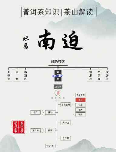 冰岛五寨之南迫老寨-冰岛南迫老寨古树茶的特点