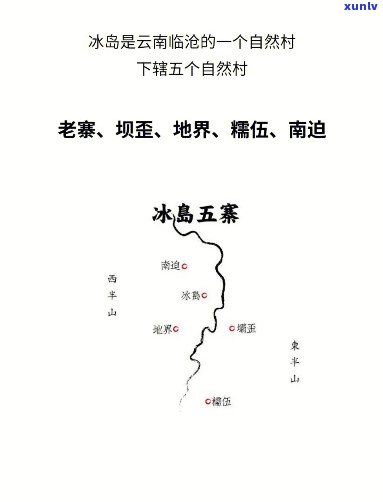 冰岛五寨古树白茶价格全揭秘