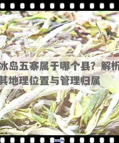 豆种绵多翡翠手镯