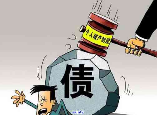 新会江小青柑价格是多少？产品评价如何？