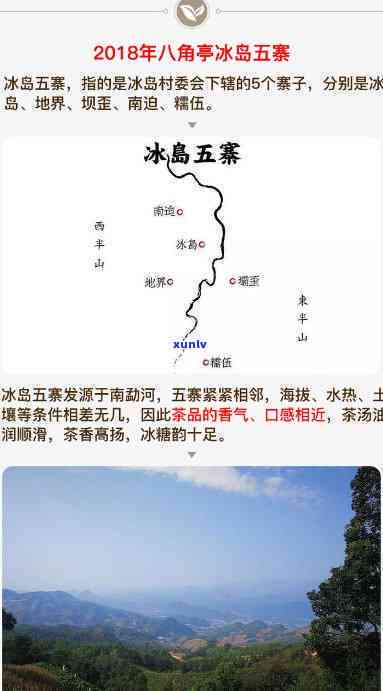 冰岛五寨茶叶：特点与价格全揭秘