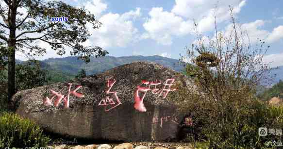 勐库镇冰岛村，探访云南特色古村落：勐库镇冰岛村，感受浓厚的茶文化与原始生态